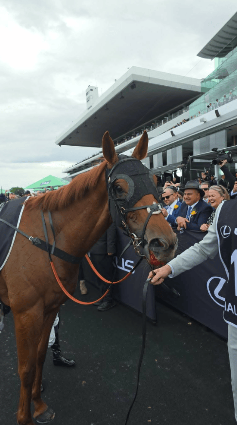 墨尔本杯冠军口部出血引发抗议！